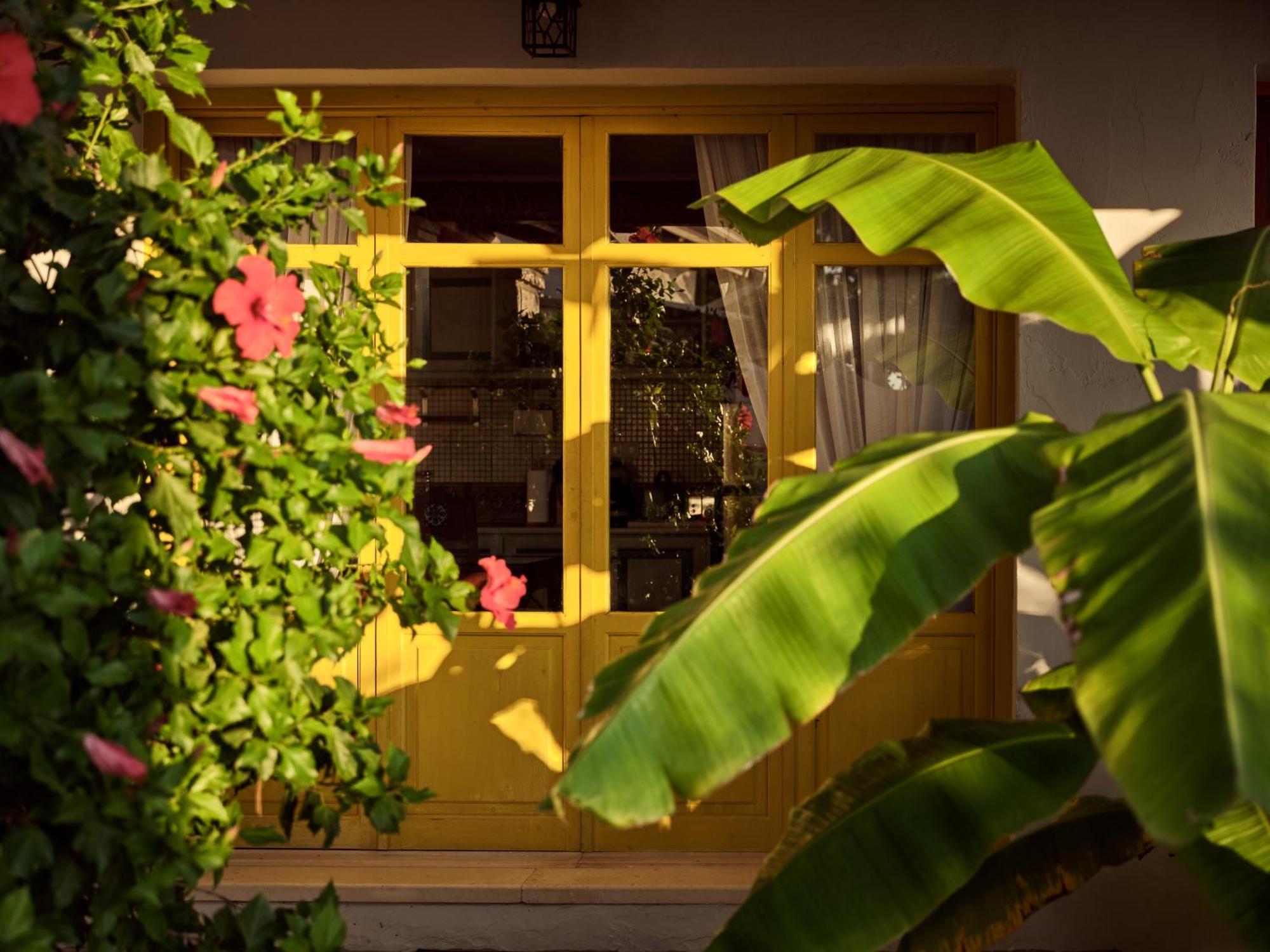 Zakynthos Villas Vasilikí Exterior foto